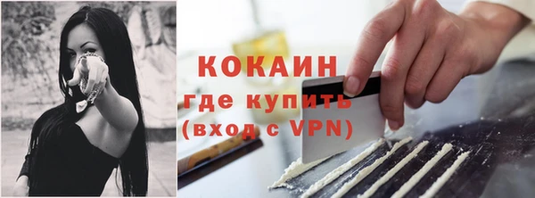 индика Беломорск