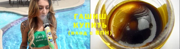 индика Беломорск