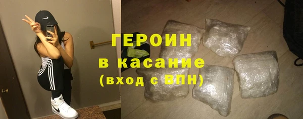 индика Беломорск