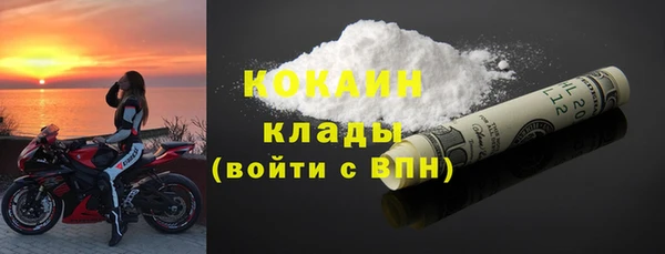 индика Беломорск