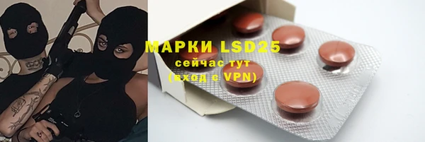 индика Беломорск