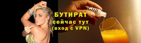 индика Беломорск