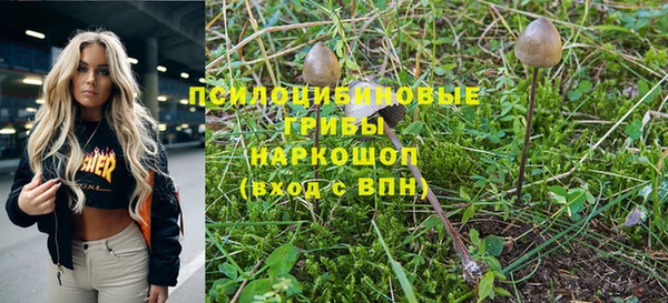 индика Беломорск