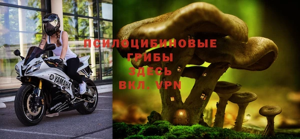 индика Беломорск