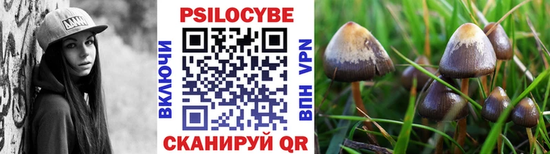 Псилоцибиновые грибы мухоморы  mega маркетплейс  Волгореченск 