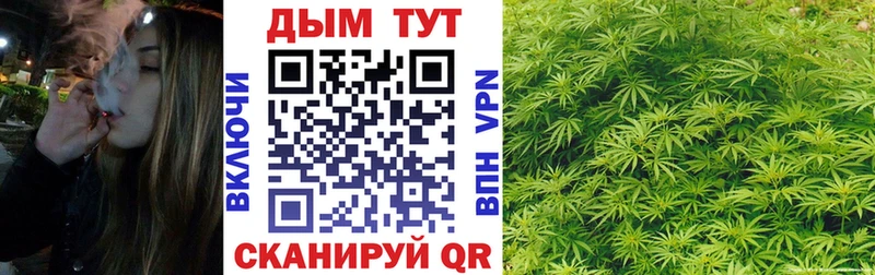 Каннабис планчик  наркота  Волгореченск 